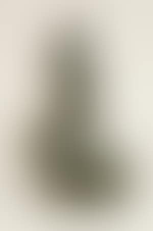 Torse nue (preview)