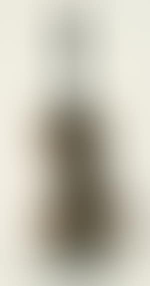 Violon coupe II - Hommage a Picasso (preview)