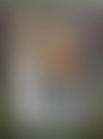 Visage de la pierre (preview)