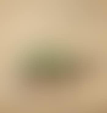 Manducorum nepos fumigator (preview)