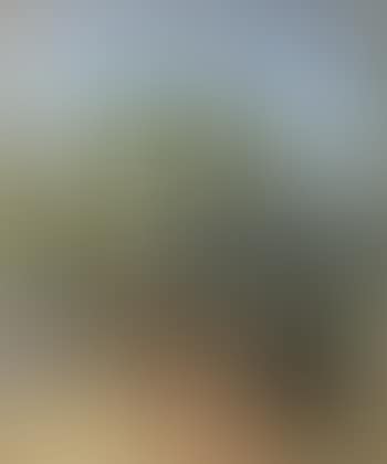 Hof mit Weinbutten (preview)