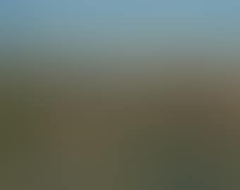 Jerusalem, seen from Mount Scopus (preview)
