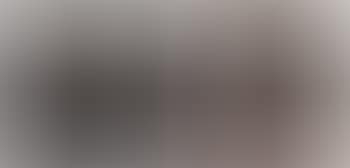 Cardon Cactus in Fog (preview)
