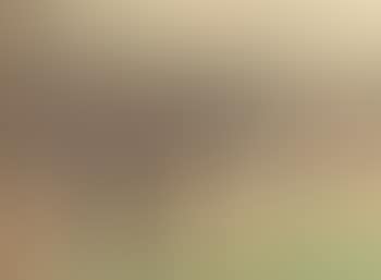 Chelsea Pensioners feeding birds (preview)