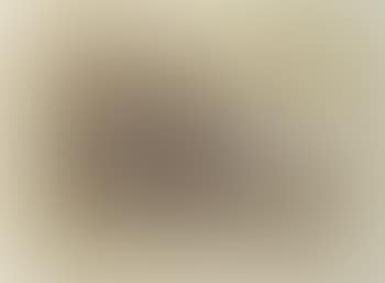 Morons (sepia) (preview)