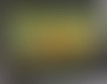 Portrait of the bark Marathon (preview)