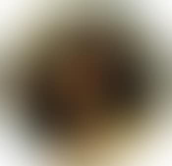 Portrait of a girl (preview)