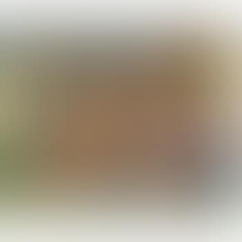The Guitarists (preview)