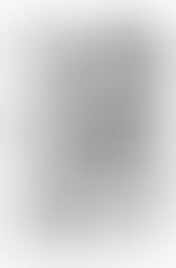 Untitled (P273) (preview)