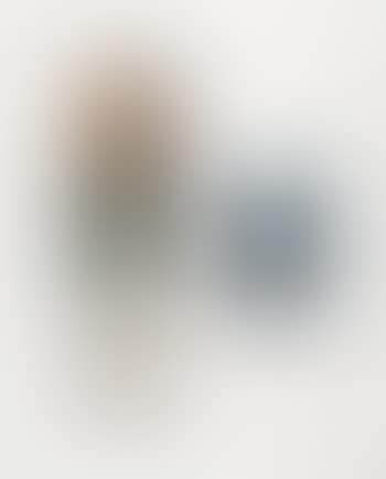 Untitled (Carmen Electra, Raquel Welch, Pamela Anderson, Jeri Ryan) (preview)