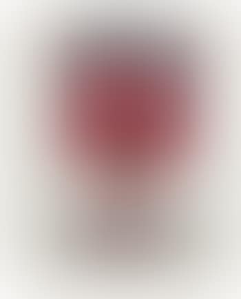 Andy Warhol (Tomato Soup Can), 1962 (preview)