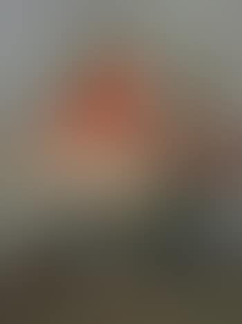 Carnations - a study (preview)