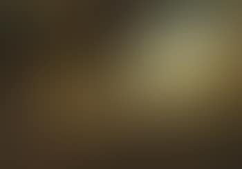 The Holy Family in a landscape (preview)