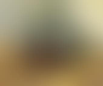 Stillleben mit Pfirsichen (preview)