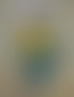 Blumenstillleben (preview)