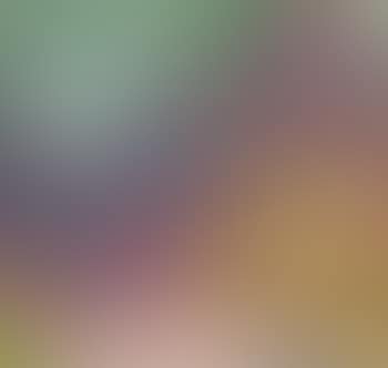 Tessinerlandschaft (preview)
