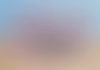 Untitled (Sheep Herd) (preview)
