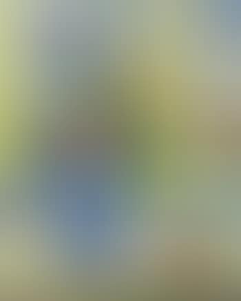 Le bouquet au vase bleu (preview)