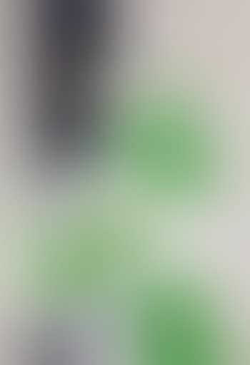 La robe verte (preview)