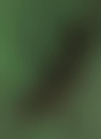 T1955-8 (preview)