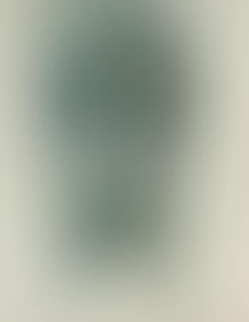Self-portrait (preview)