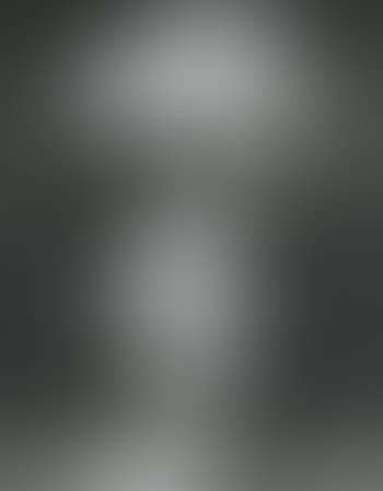 Untitled (Dog Test) (preview)