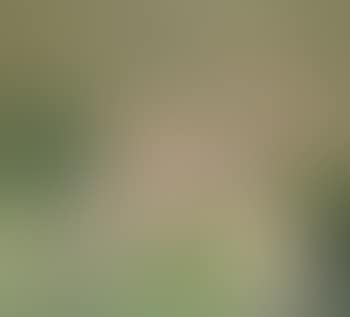 Reclining Nude on Green Couch (preview)