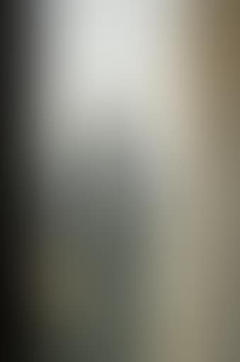 Man with a Shadow Figure (preview)