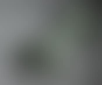 Nude Study B (Betty Peters) (preview)