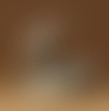 Crouching Fawn (preview)
