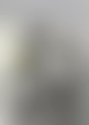 Untitled (Horse) (preview)