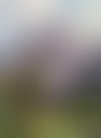 Ansicht bei Cortina, Montecristallo (?) (preview)