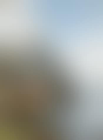 Fjordlandschaft mit Holzhäuschen (preview)