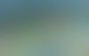 Sommerlandschaft (preview)