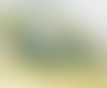 Venthone II (preview)
