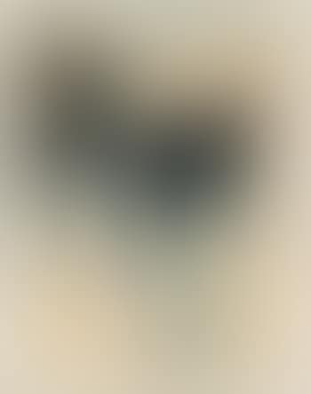 Composition (preview)