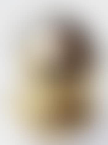Boulet expansion (preview)