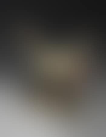 Cavaliere (preview)