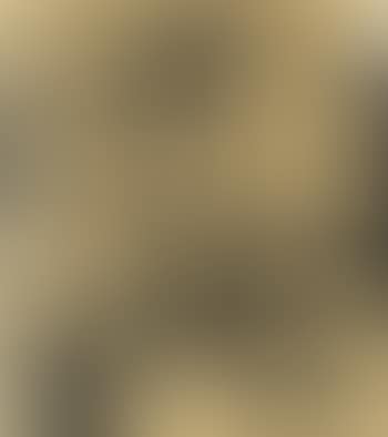 Autoritratto (preview)