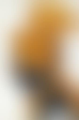 Portrait of an Indian Man (preview)