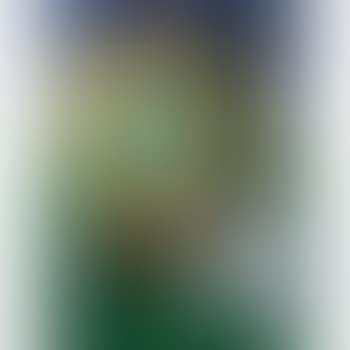 I Was Before The Blue Dog (preview)