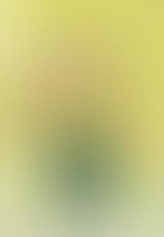Fleurs dans le vase vert (preview)