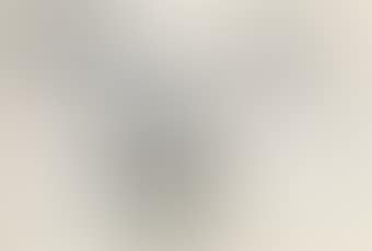 Untitled 1952 (preview)