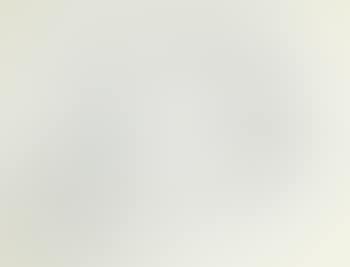 Untitled (Portrait of Rosemarie Beck) (preview)
