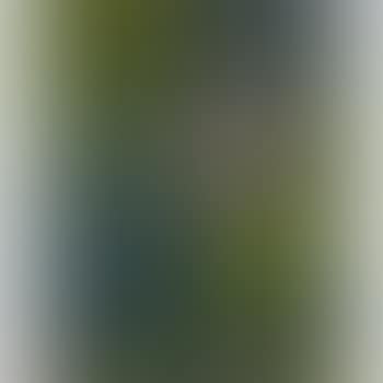 Casa Rossa Nel Verde (preview)