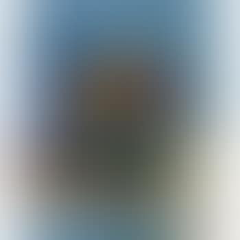 Schale Mit Äpfeln (preview)