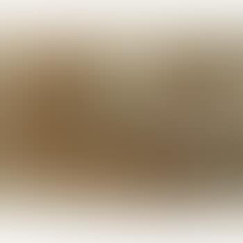 Bewildered Brown (preview)