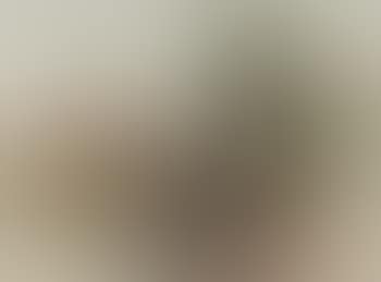 A barn in a wooded landscape (preview)