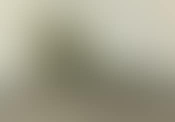 Homage to David Cox (preview)