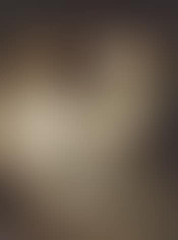 Study of a cat (preview)